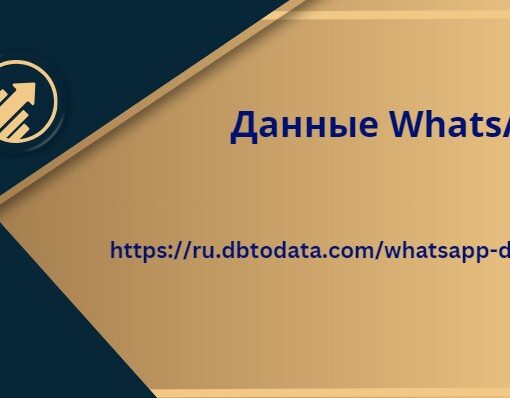 Данные WhatsApp