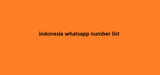 indonesia whatsapp number list​